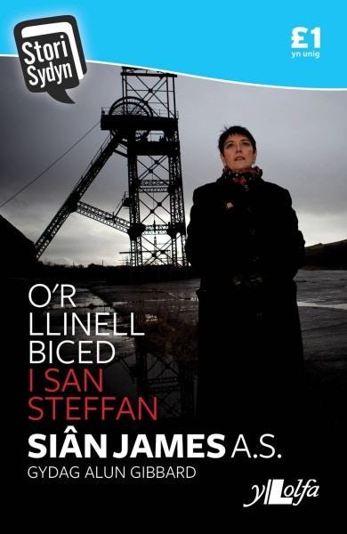 Cover image for Stori Sydyn: O'r Llinell Biced i San Steffan, isbn: 9781784611040