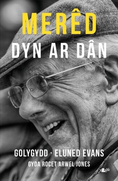 Cover image for Merêd - Dyn ar Dân, isbn: 9781784613440