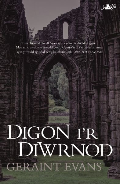 Cover image for Digon i'r Diwrnod, isbn: 9781784615550