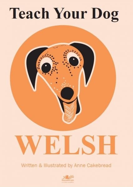 Cover image for Teach Your Dog Welsh, isbn: 9781784616762