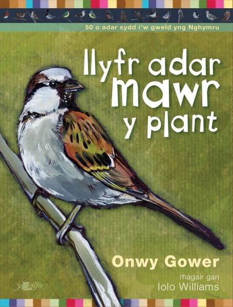 Cover image for Llyfr Adar Mawr y Plant, isbn: 9781784617776