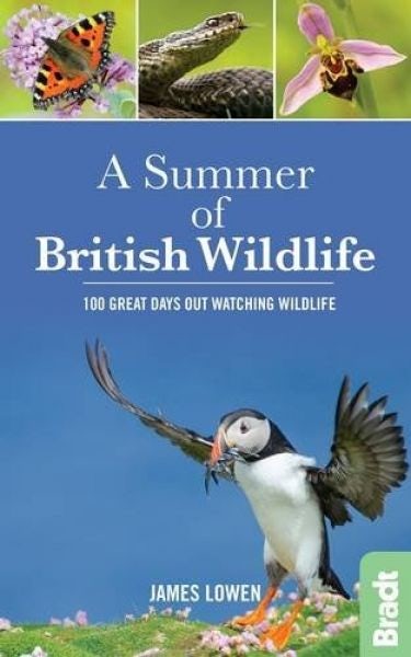 Cover image for Summer of British Wildlife, A - 100 Great Days out Watching Wildlife, isbn: 9781784770099