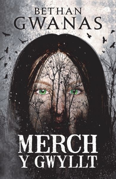 Cover image for Merch y Gwyllt, isbn: 9781785622069