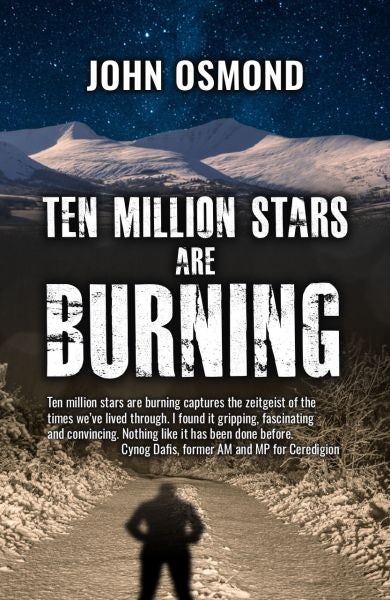 Cover image for Ten Million Stars Are Burning, isbn: 9781785622496