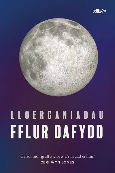 Cover image for Lloerganiadau, isbn: 9781800990289