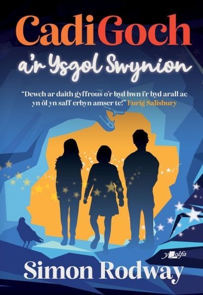 Cover image for Cadi Goch a'r Ysgol Swynion, isbn: 9781800990845