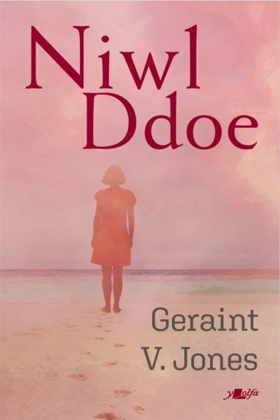 Cover image for Niwl Ddoe, isbn: 9781800991033