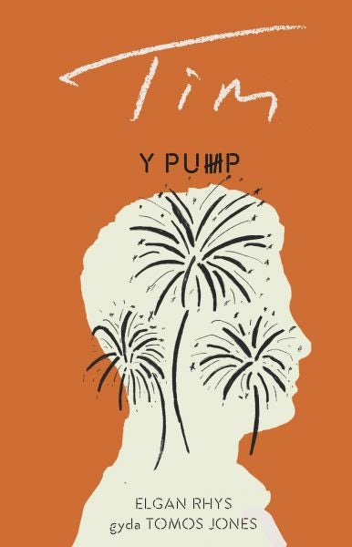 Cover image for Tim - Y Pump, isbn: 9781800991224
