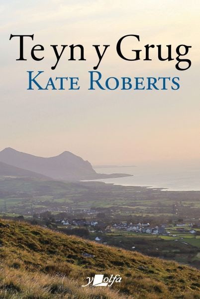 Cover image for Te yn y Grug, isbn: 9781800992344