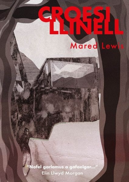 Cover image for Croesi Llinell, isbn: 9781800993532