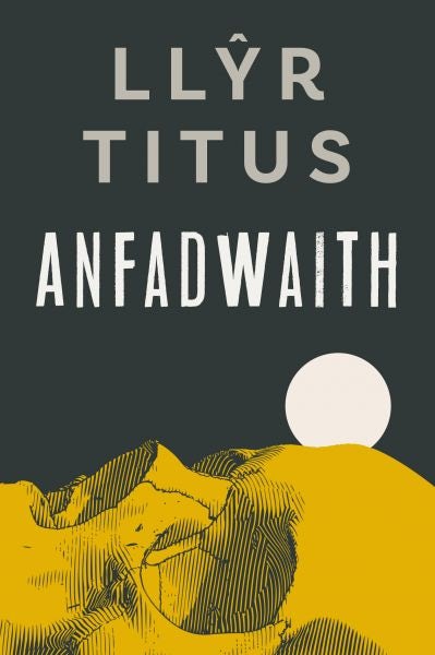 Cover image for Anfadwaith, isbn: 9781800993792