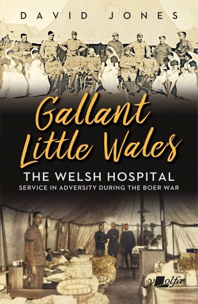 Cover image for Gallant Little Wales, isbn: 9781800993969