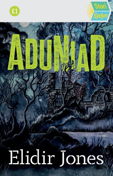 Cover image for Stori Sydyn: Aduniad, isbn: 9781800995017