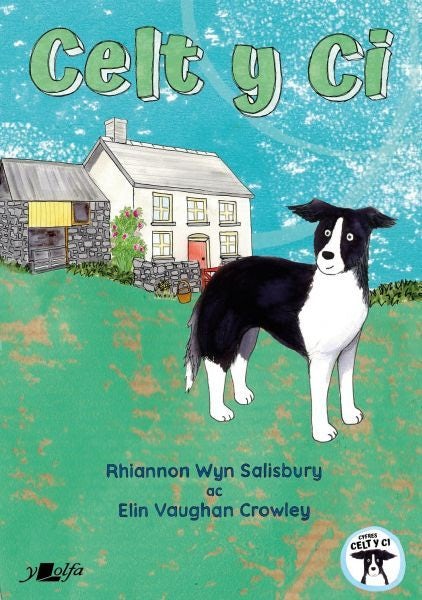 Cover image for Celt y Ci, isbn: 9781800995208