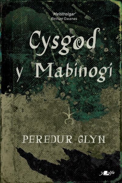 Cover image for Cysgod y Mabinogi, isbn: 9781800995499