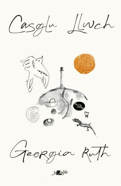 Cover image for Casglu Llwch, isbn: 9781800995550