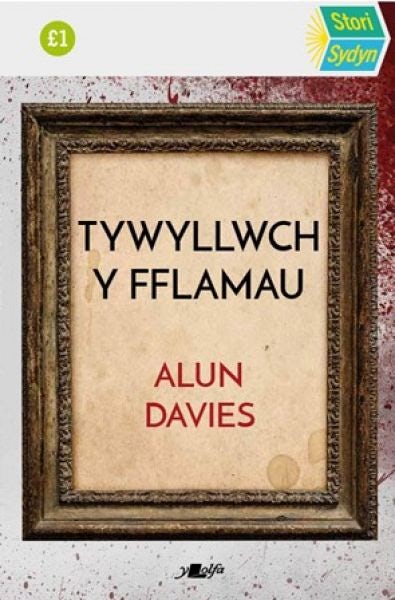 Cover image for Stori Sydyn: Tywyllwch y Fflamau, isbn: 9781800996199