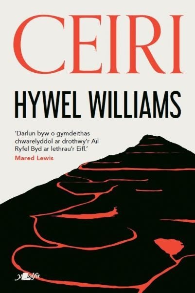 Cover image for Ceiri, isbn: 9781800997738