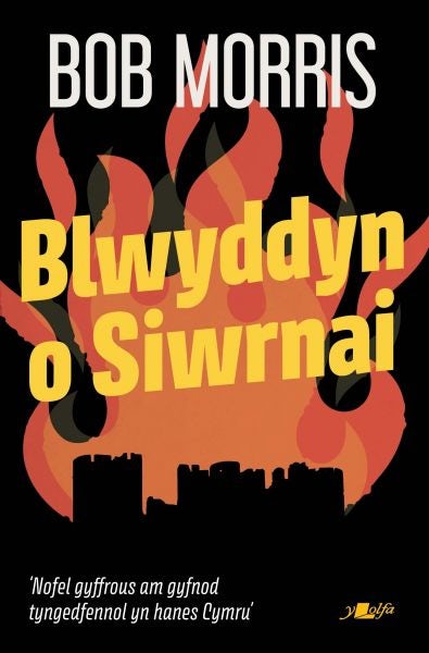 Cover image for Blwyddyn o Siwrnai, isbn: 9781800998384
