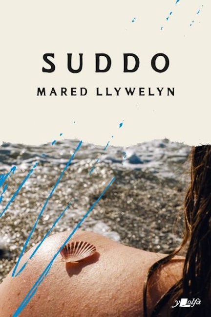 Cover image for Suddo, isbn: 9781800999077