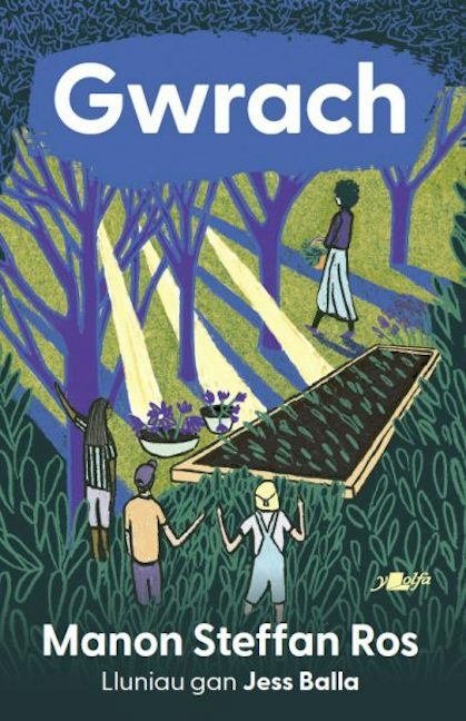 Cover image for Cyfres Llamu: Gwrach, isbn: 9781800999251