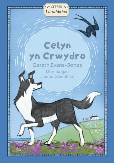 Cover image for Celyn yn Crwydro, isbn: 9781800999565