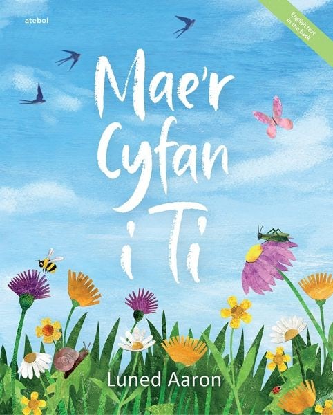 Cover image for Mae'r Cyfan i Ti, isbn: 9781801060288