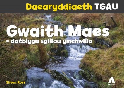 Cover image for Daearyddiaeth TGAU: Gwaith Maes - Datblygu Sgiliau Ymchwilio, isbn: 9781801060370