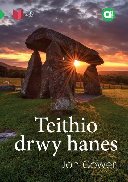 Cover image for Cyfres Amdani: Teithio drwy Hanes, isbn: 9781801062817