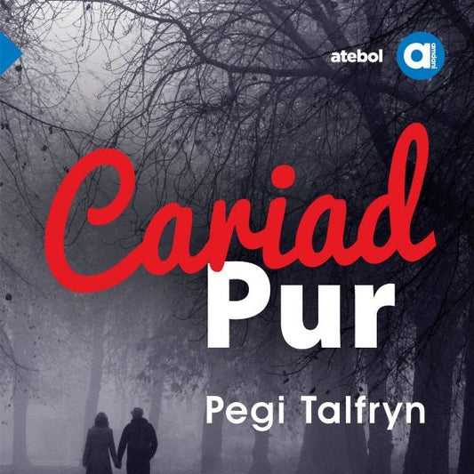 Cover image for Cyfres Amdani: Cariad Pur, isbn: 9781801063142