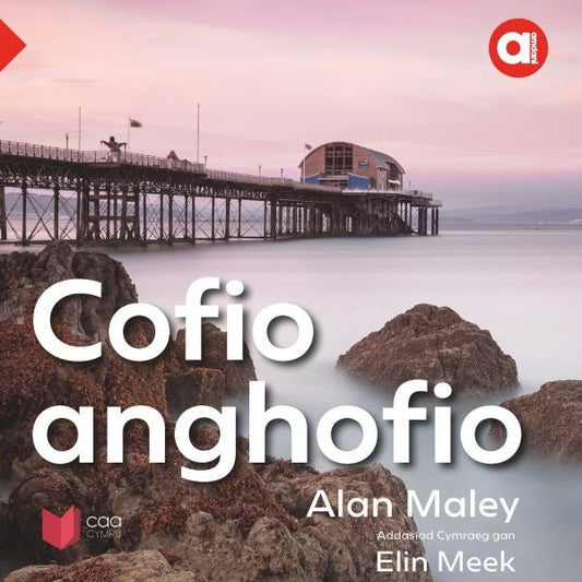 Cover image for Cyfres Amdani: Cofio Anghofio, isbn: 9781801063159