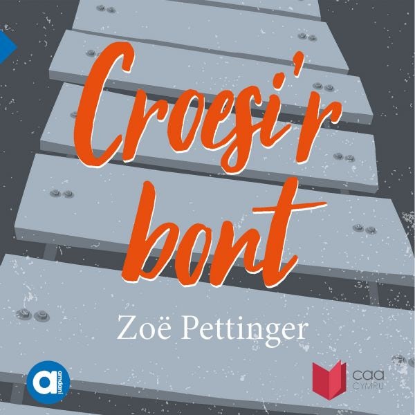 Cover image for Cyfres Amdani: Croesi'r Bont, isbn: 9781801063166