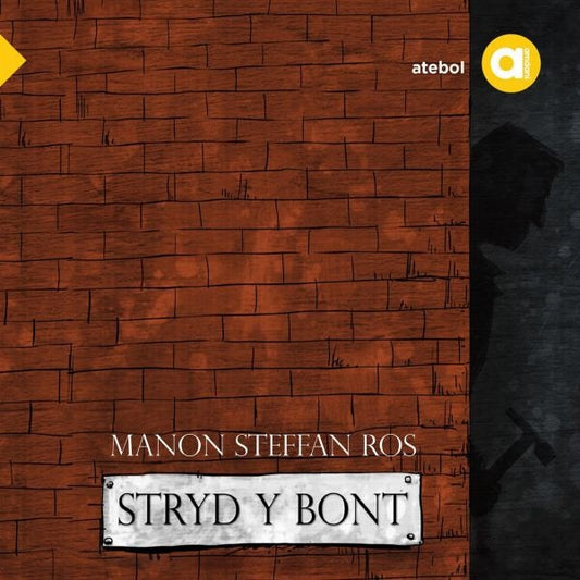 Cover image for Cyfres Amdani: Stryd y Bont, isbn: 9781801063203