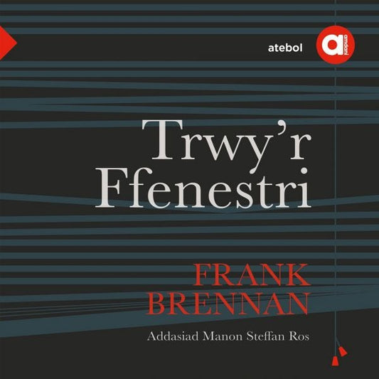 Cover image for Cyfres Amdani: Trwy'r Ffenestri, isbn: 9781801063227