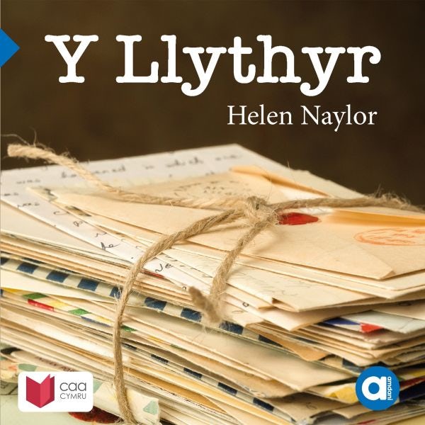 Cover image for Cyfres Amdani: Y Llythyr, isbn: 9781801063241