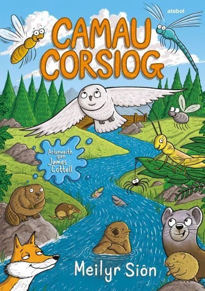 Cover image for Camau Corsiog, isbn: 9781801063890