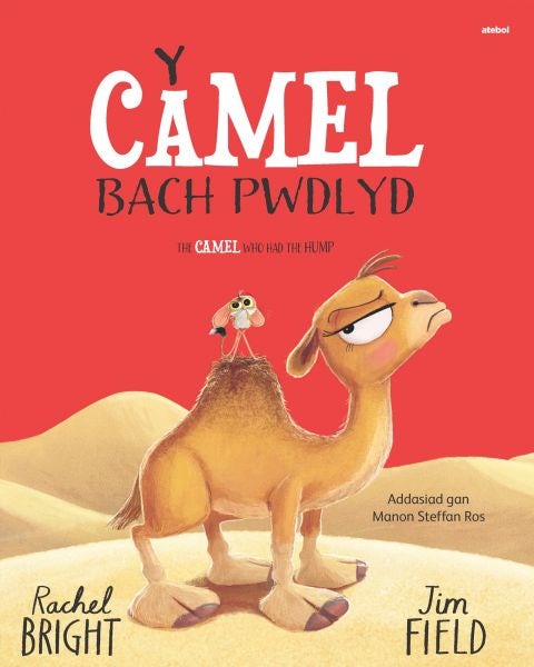 Cover image for Y Camel Bach Pwdlyd / The Camel who had the hump, isbn: 9781801065085
