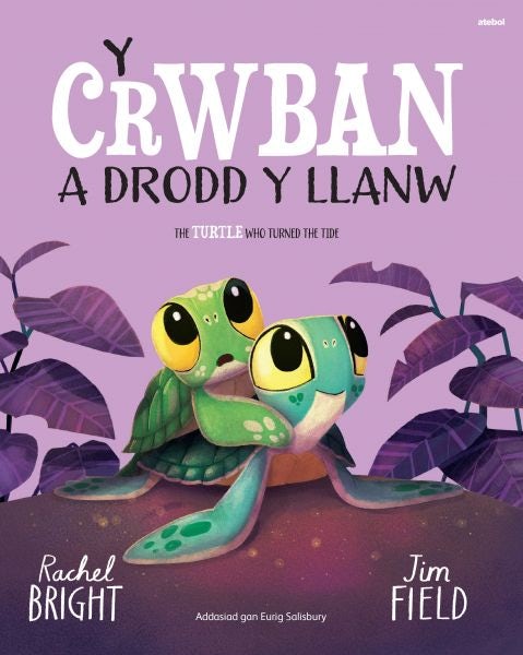 Cover image for Y Crwban a Drodd y Llanw / The Turtle Who Turned The Tide, isbn: 9781801065863