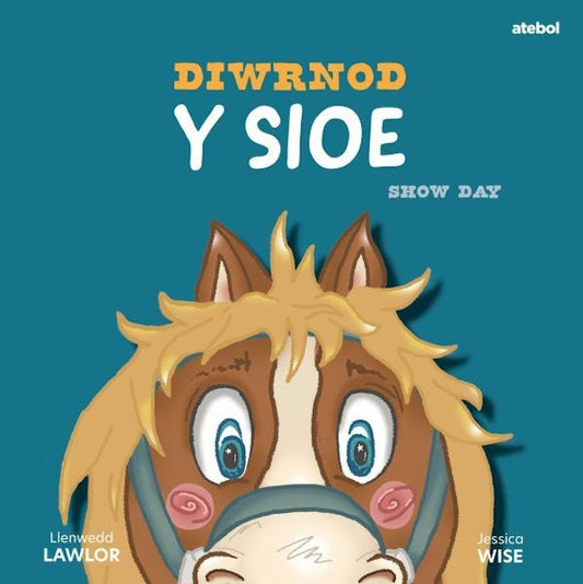 Cover image for Diwrnod y Sioe, isbn: 9781801066334
