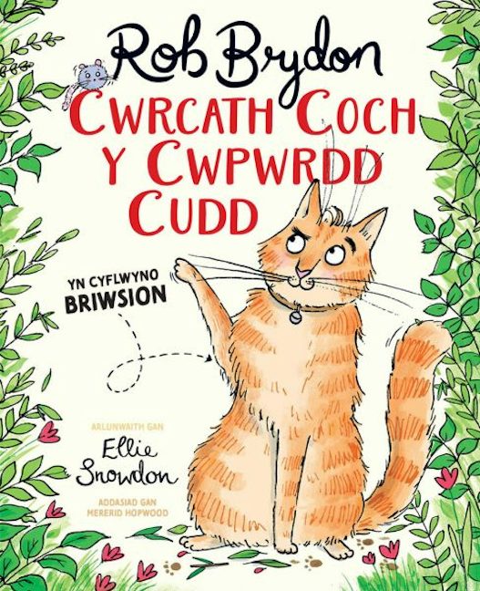 Cover image for Cwrcath Coch y Cwpwrdd Cudd, isbn: 9781801066754