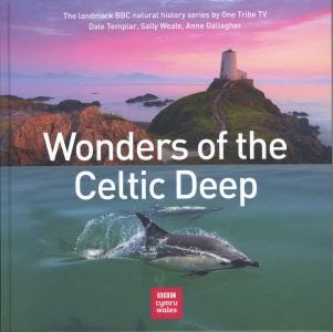 Cover image for Wonders of the Celtic Deep, isbn: 9781802580075