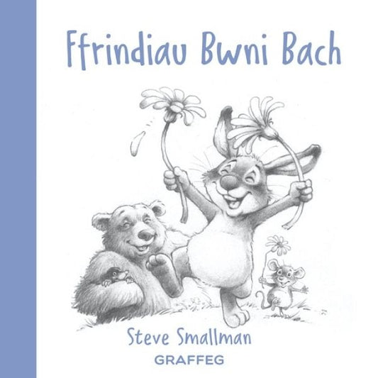 Cover image for Ffrindiau Bwni Bach, isbn: 9781802580655