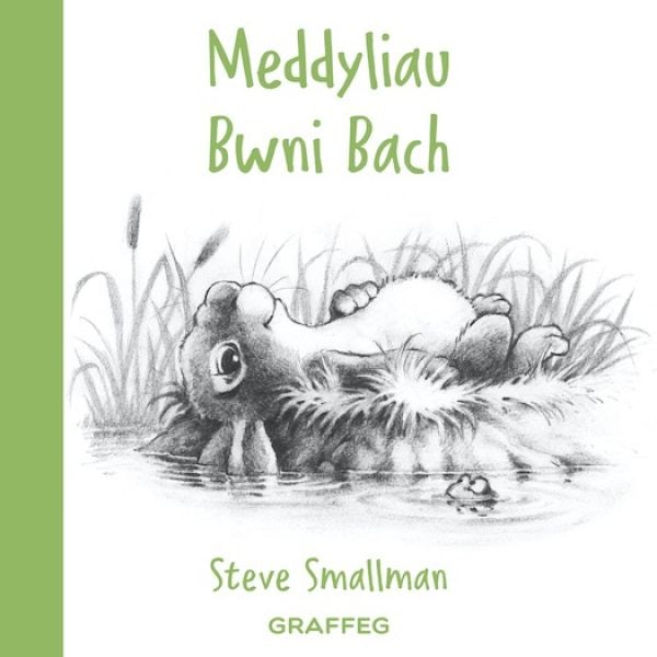 Cover image for Meddyliau Bwni Bach, isbn: 9781802580662