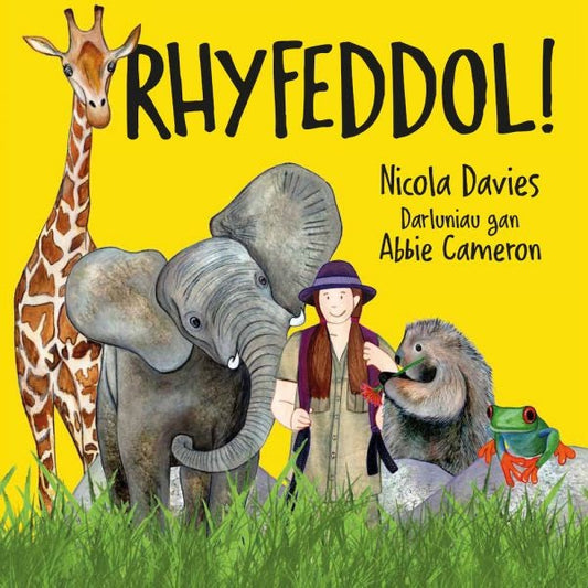 Cover image for Rhyfeddol!, isbn: 9781802582048
