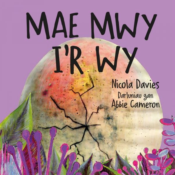 Cover image for Mae Mwy i'r Wy, isbn: 9781802582079