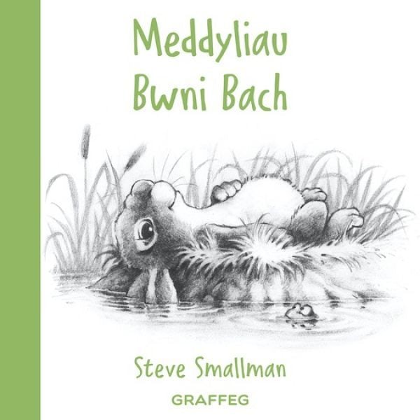 Cover image for Meddyliau Bwni Bach, isbn: 9781802582895
