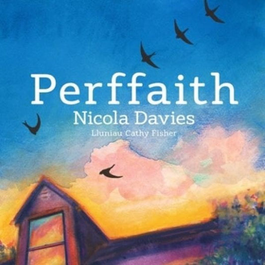 Cover image for Perffaith, isbn: 9781802582932