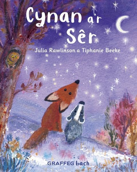 Cover image for Cynan a'r Sêr, isbn: 9781802583144