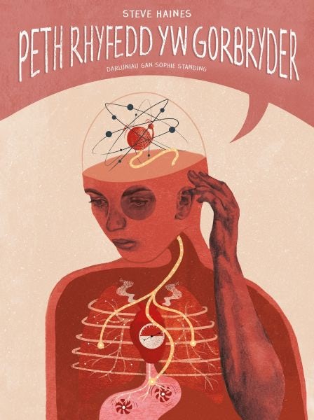 Cover image for Darllen yn Well: Peth Rhyfedd yw Gorbryder, isbn: 9781802583304