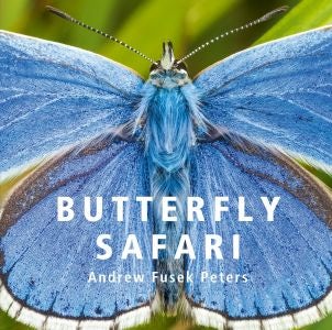 Cover image for Butterfly Safari, isbn: 9781802583700